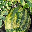 ���� �����, ������� - ��������� 3 ������ 2025 � ������ ������ ��������