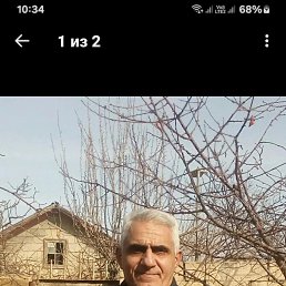 , 58, 