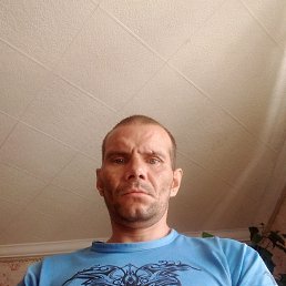 , 41 , 