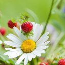 ���� ���������, ������, 41 ��� - ��������� 13 ������ 2024 � ������ ���� ����������