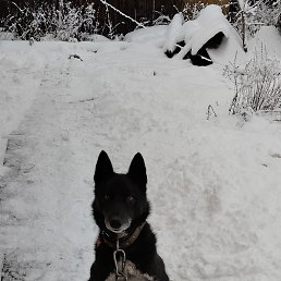 ������, ��������, 70 ���