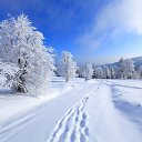  Lady,  -  22  2023    