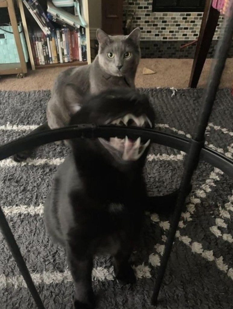 :   .: - 3