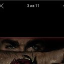 ���� Poll, ��������, 55 ��� - ��������� 31 ��� 2025 � ������ ���� ����������