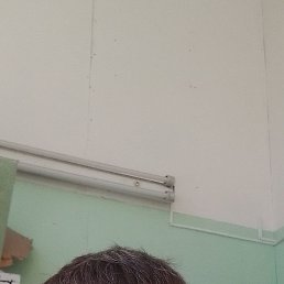 , 40, 