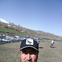 , 32, 