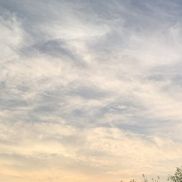 ����, ������, 22 ����