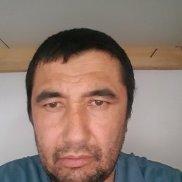 , 42, 