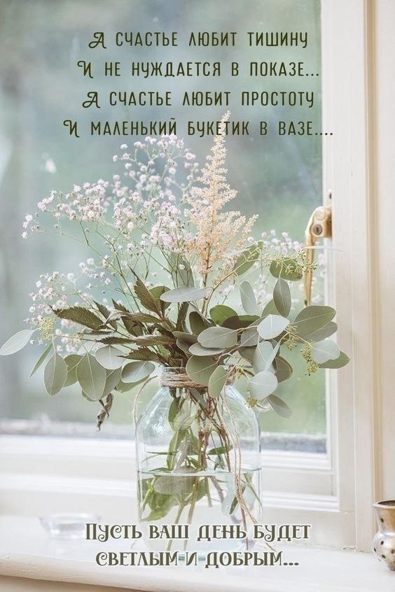   ,    . - 13  2024  12:19