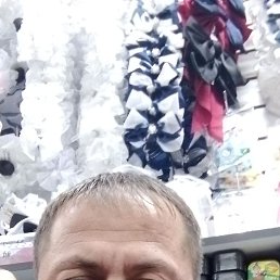, 29, 