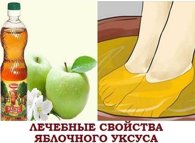    .   ,     ...