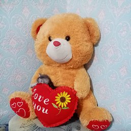 ���� �����, ���������, 38 ��� - ��������� 24 ������� 2023