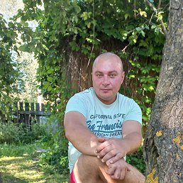 , 40, 
