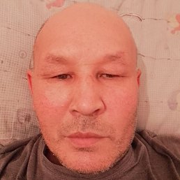 ������, ������, 49 ���