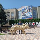 ���� �������, ��������, 47 ��� - ��������� 21 ���� 2024 � ������ ���� ����������