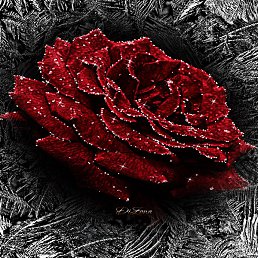 ��������, �����, 61 ���