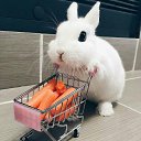 ���� ����, �������� - ��������� 6 ������� 2025