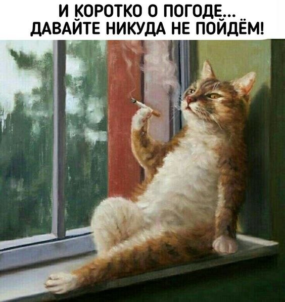 ₪╬═►  ||  ||  ◄═╬₪ - 26  2024  06:26