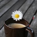 ���� �����, ���������, 45 ��� - ��������� 22 ���� 2026 � ������ ������ ��������