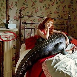 �����, ������������