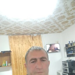  , 44, 