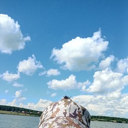 ���� �������, �����������, 50 ��� - ��������� 20 ������ 2026