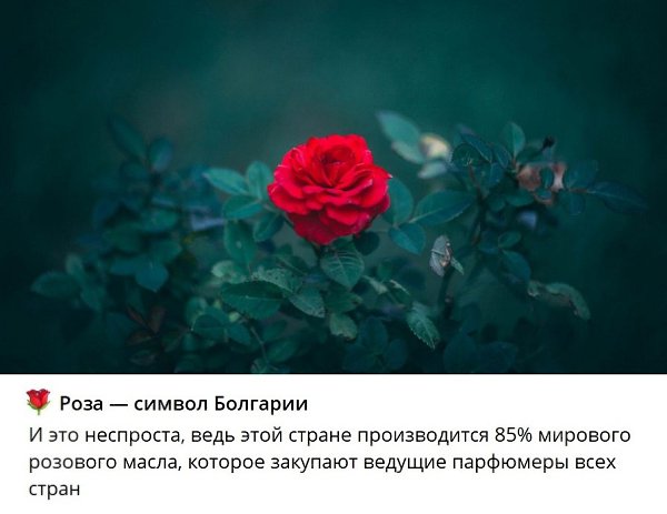   - 3  2024  03:54