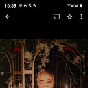 ���� ������, ���������, 50 ��� - ��������� 23 ����� 2024 � ������ ���� ����������