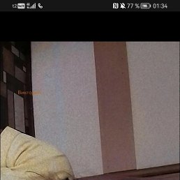 ���� ��������, ��������, 18 ��� - ��������� 20 ������� 2026