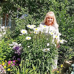 ���������, ��������