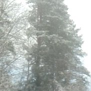 ������, 49 ���, �����-���������