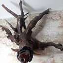  , , 48  -  14  2025   *