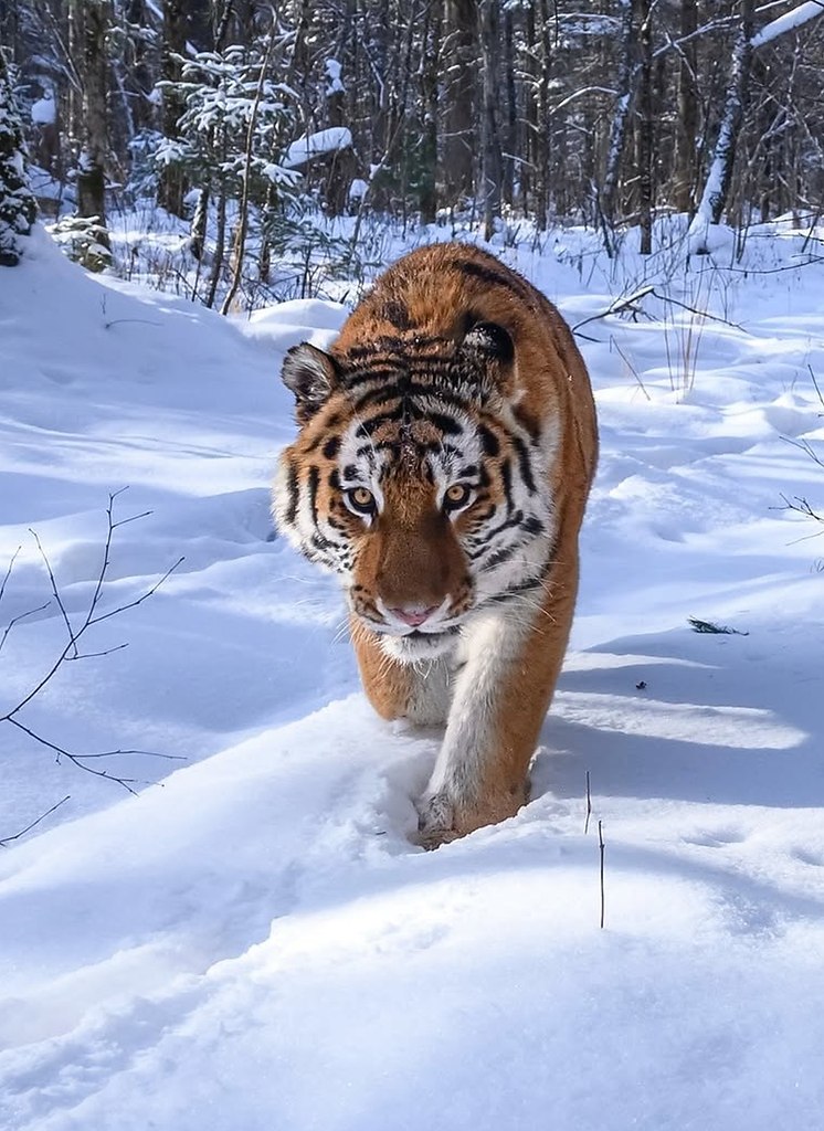 ��������� ����� ������� ������������� � ��������� �������. � ������� �� �����������, ��� ���������� ... - 3