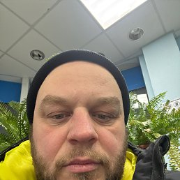 ���� �����, �����������, 41 ��� - ��������� 9 ��� 2026
