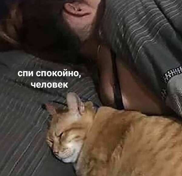 ���� - 26 ���� 2025 � 07:36