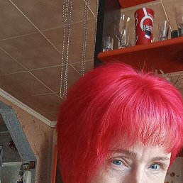 ��������, �����, 37 ���