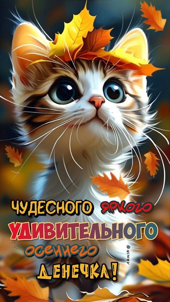 ПРИВЕТСТВИЯ и ПОЖЕЛАНИЯ, открытки на каждый день. - 24 октября 2025 в 16:12 - 2