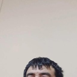 ����, 49 ���, ���������