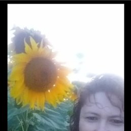 ���� ����, ���������� �����, 46 ��� - ��������� 27 ������ 2025