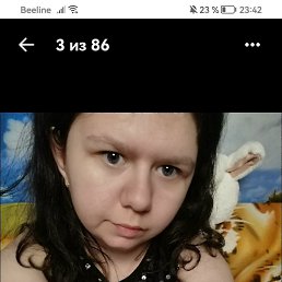 �����, 22 ����, ������
