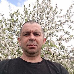 ��������, 42 ����, ���������