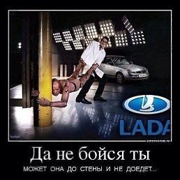 ���� �������, ������, 44 ���� - ��������� 14 ������ 2023