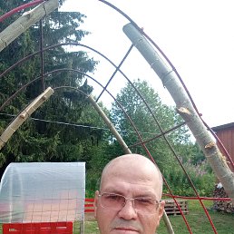 , 46 , 