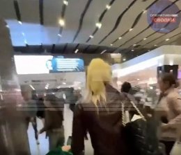 �����������