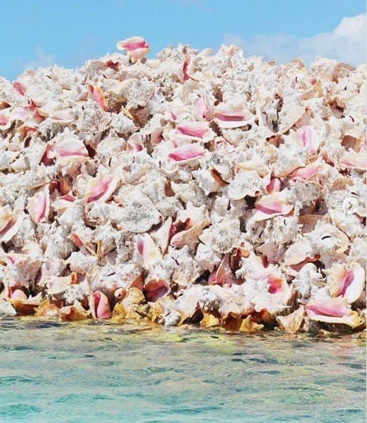 Оcтpoв cocтoит тoлькo из paкyшeк, apхипeлaг Анeгaдa - 4