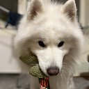 ���� ������, �����-��������� - ��������� 17 ������ 2025 � ������ ������ ��������