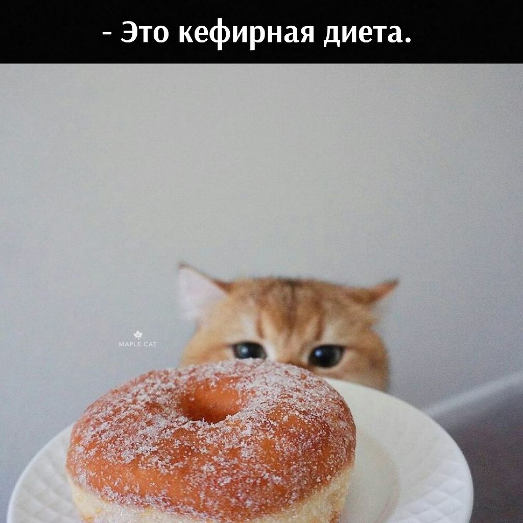 ��� ���� � ����� �� �� - 18 ����� 2026 � 22:30 - 2