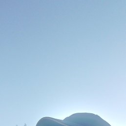 ������ ��������, ������, 37 ���