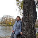 ���� ���������, ���� - ��������� 3 ������� 2023 � ������ ���� ����������