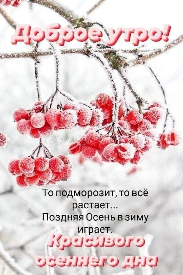 ***Victoria Viktorovna*** - 10  2024  06:23 - 4